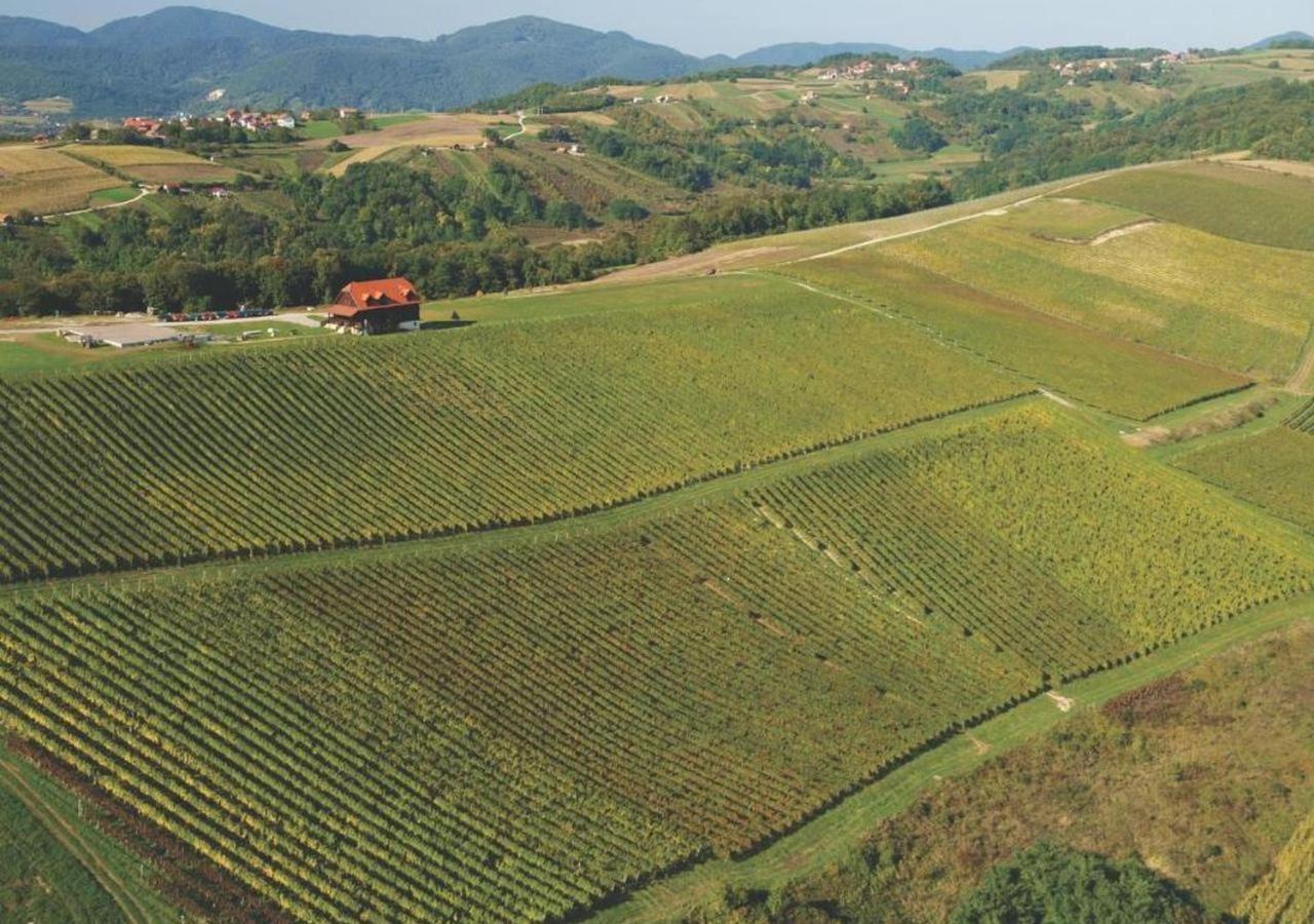 Rooms Bolfan Vinski Vrh Hrašćina Bagian luar foto